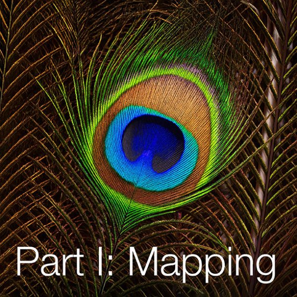 Coaching Constellations – Workshop with Oana Tanasse